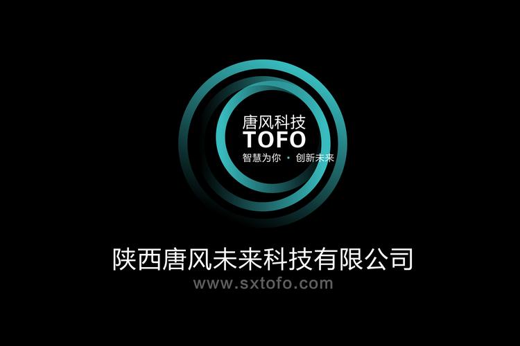 陜西唐風未來科技市場營銷策劃方案